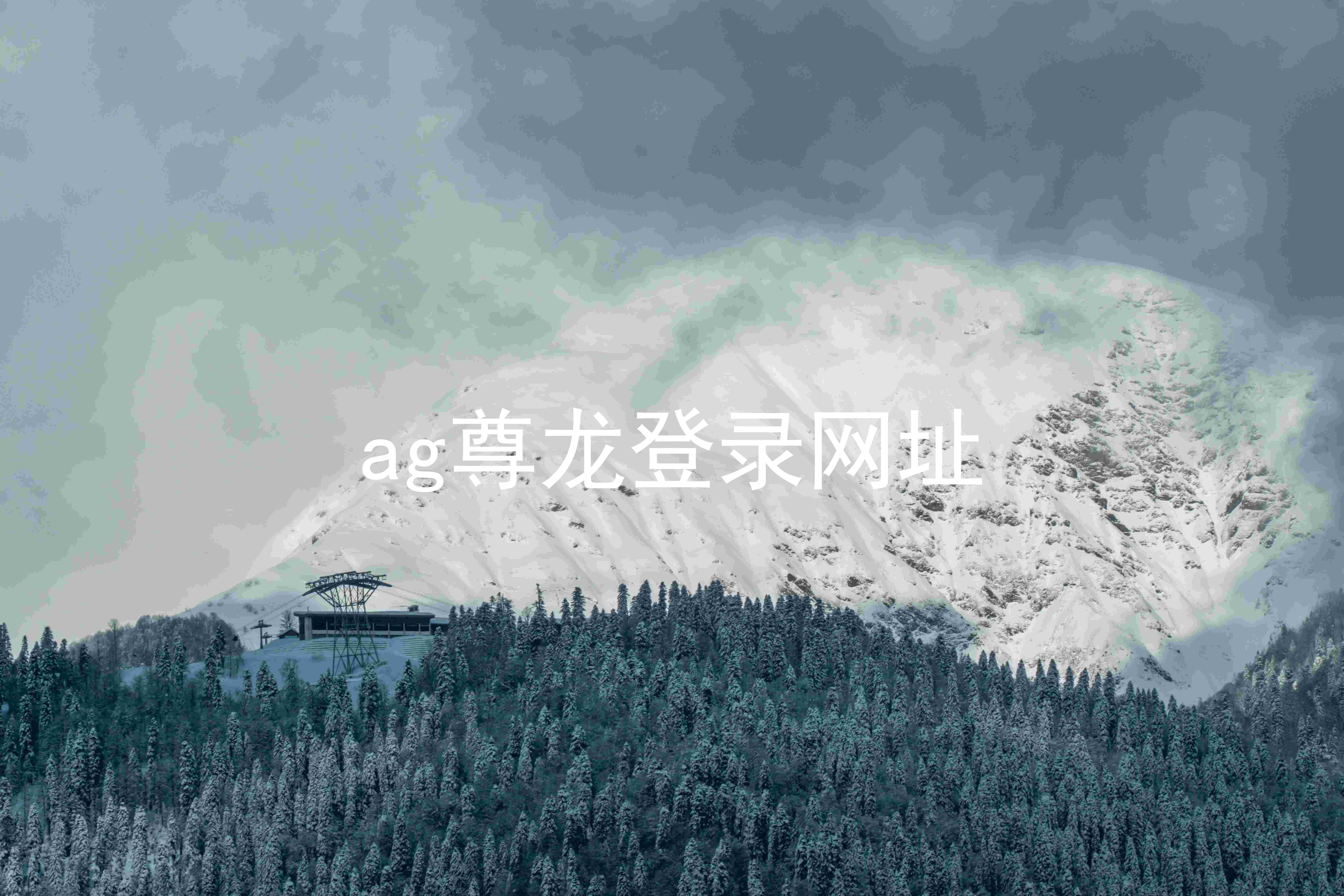 ag尊龙登录网址