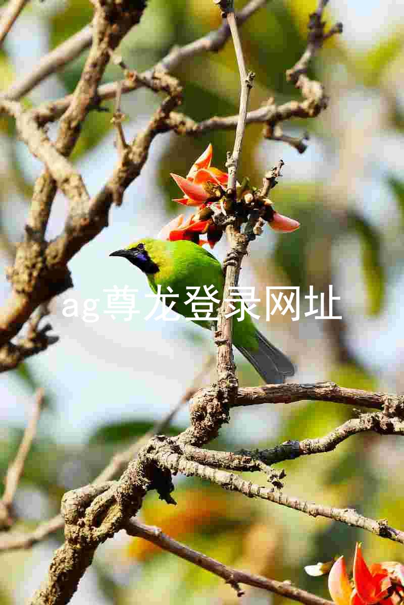 ag尊龙登录网址