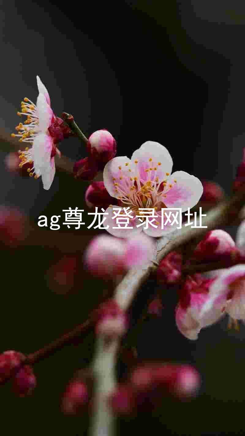 ag尊龙登录网址